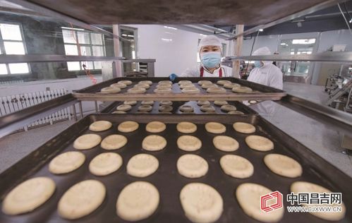 昌吉高新區(qū)葡萄樹(shù)食品 亞麻籽馕的傳統(tǒng)工藝與現(xiàn)代生產(chǎn)